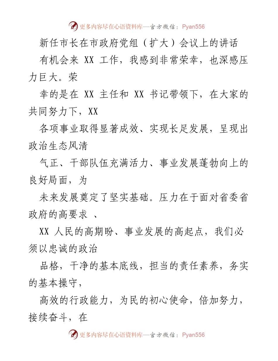 [发言] 市政府党组（扩大）会议 - 新任市长的工作思路与发展愿景.docx_第1页
