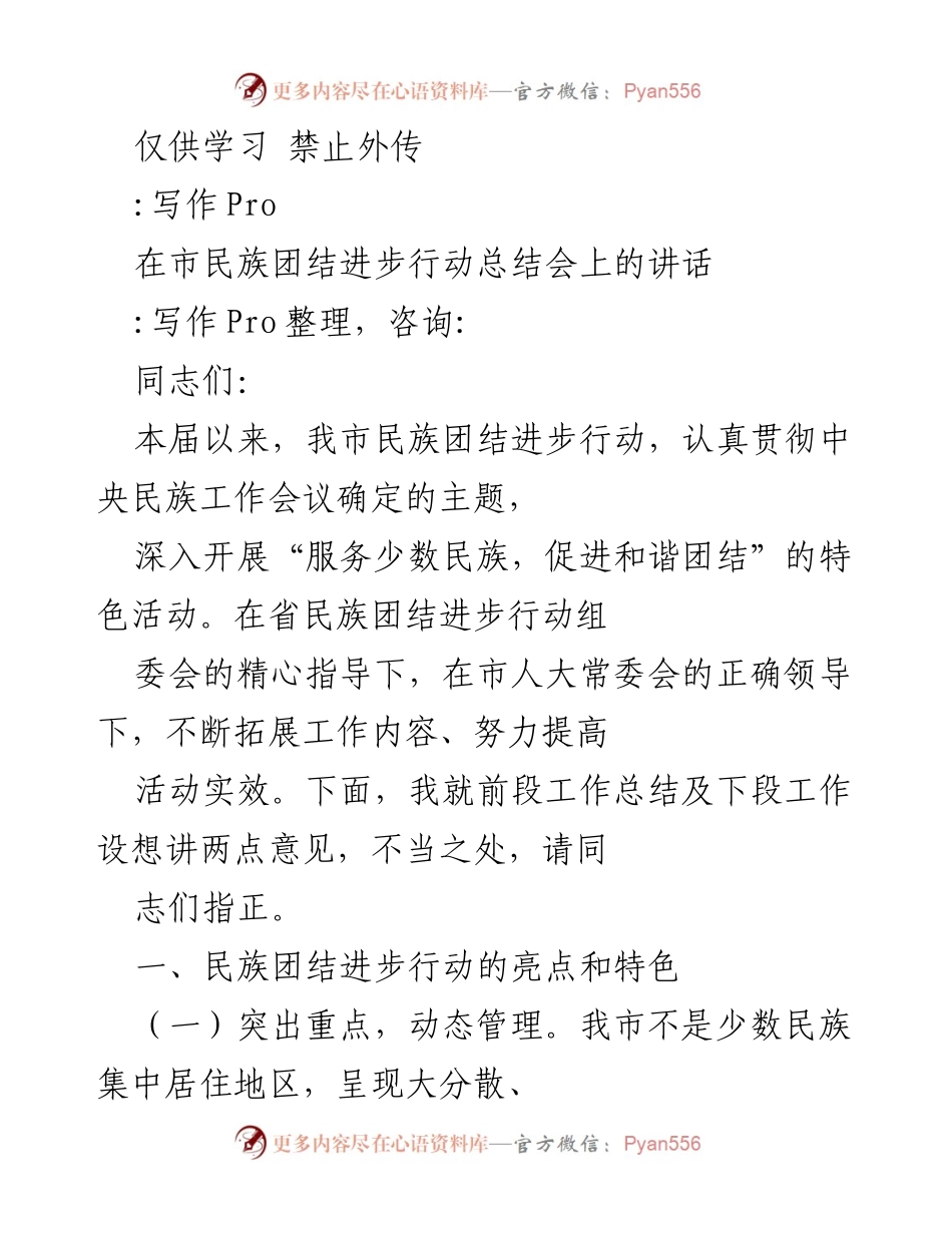 [发言] 市民族团结进步行动总结会 - 民族团结进步行动的总结与展望.docx_第1页