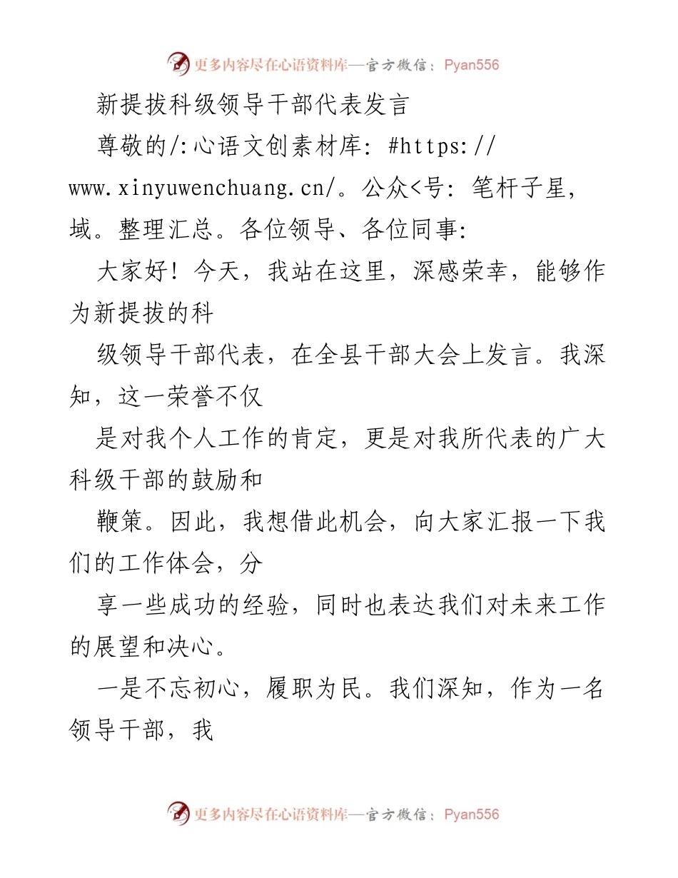 [发言] 干部大会 - 新提拔科级领导干部的责任与使命_1.docx_第1页