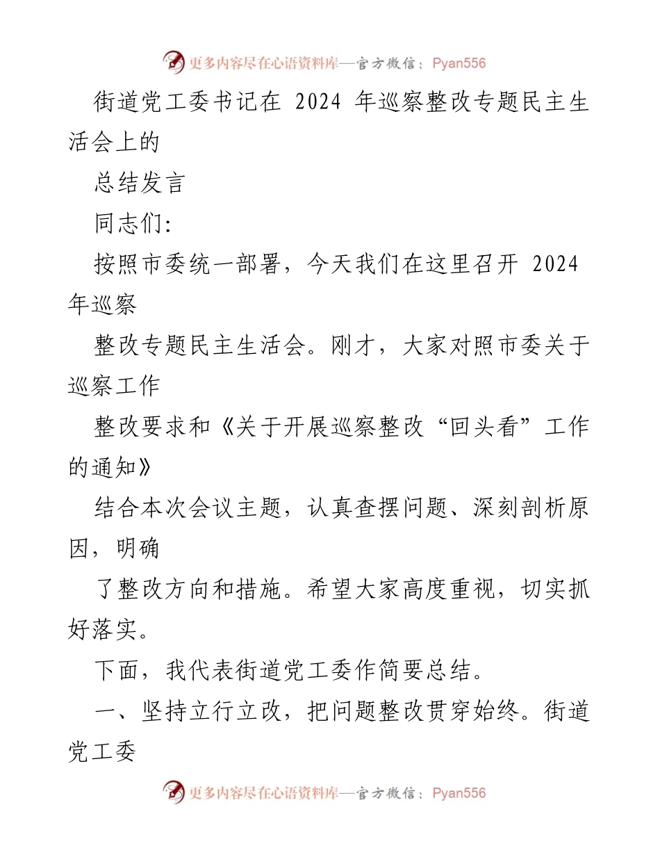 [发言] 巡察整改专题民主生活会 - 巡察整改工作总结与落实措施.docx_第1页