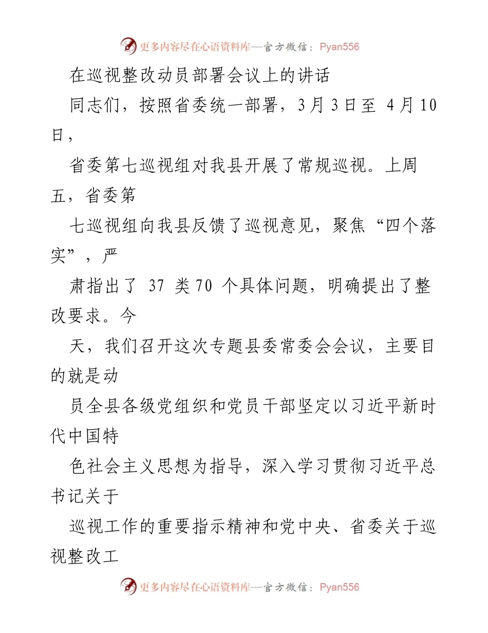 [发言] 巡视整改动员部署会议 - 强调巡视整改的重要性与具体措施.docx_第1页