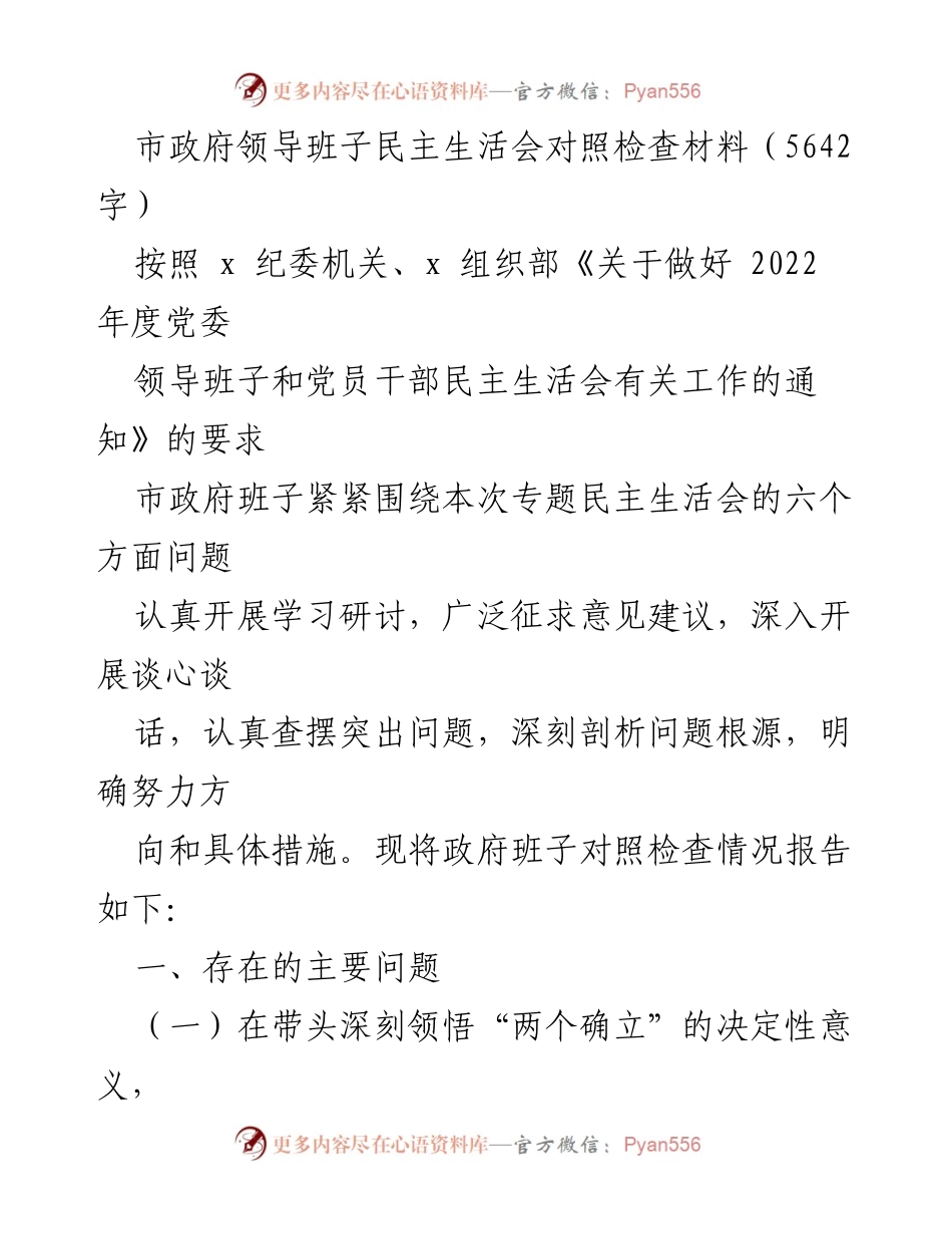 [发言] 市政府领导班子民主生活会 - 市政府领导班子民主生活会对照检查报告.docx_第1页
