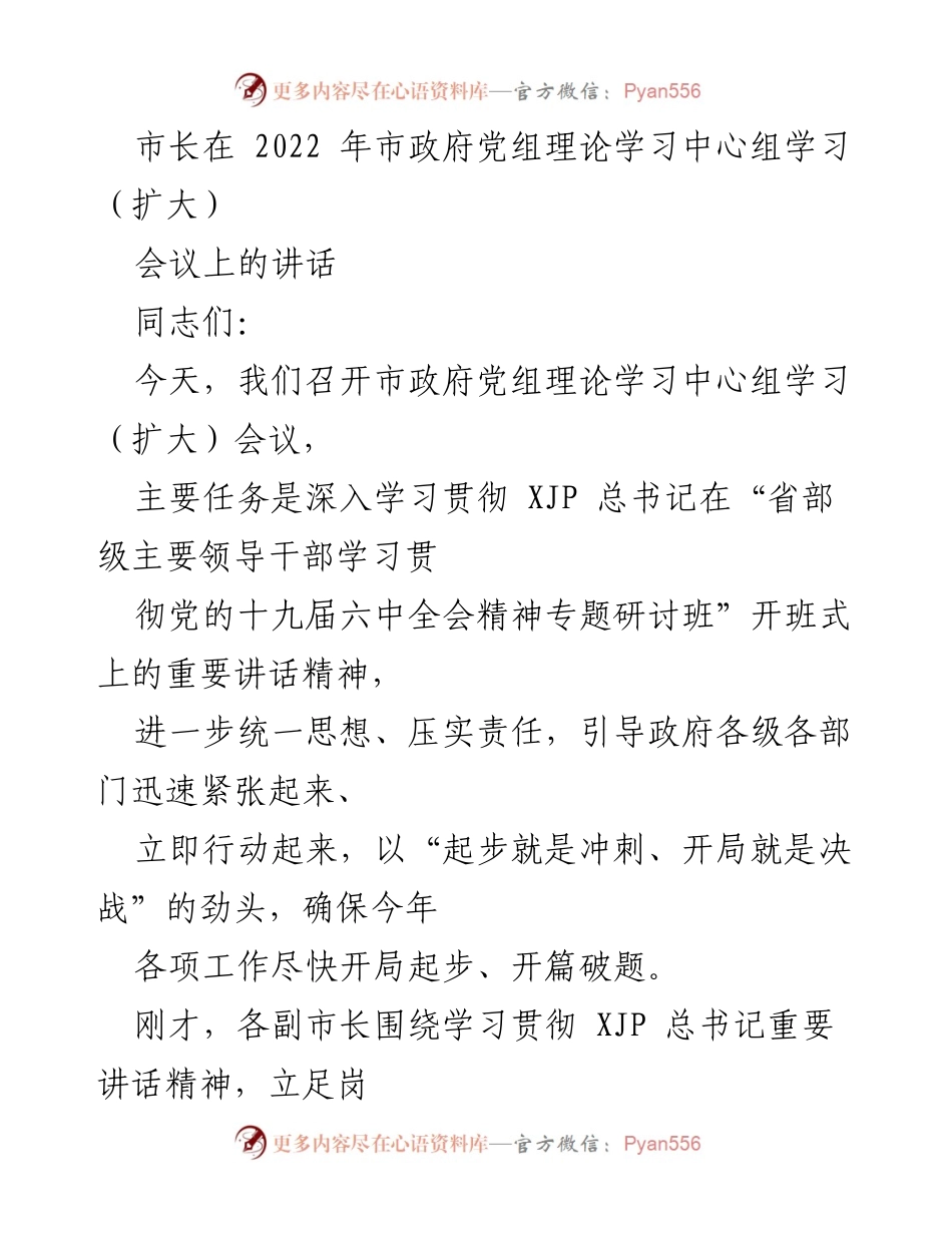 [发言] 市政府党组理论学习中心组学习会议 - 深入学习贯彻总书记讲话精神，推动今年工作开局起步.docx_第1页
