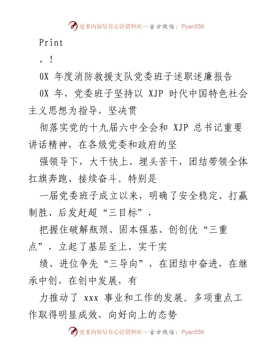 [发言] 年度消防救援支队党委班子述职述廉报告.docx_第1页