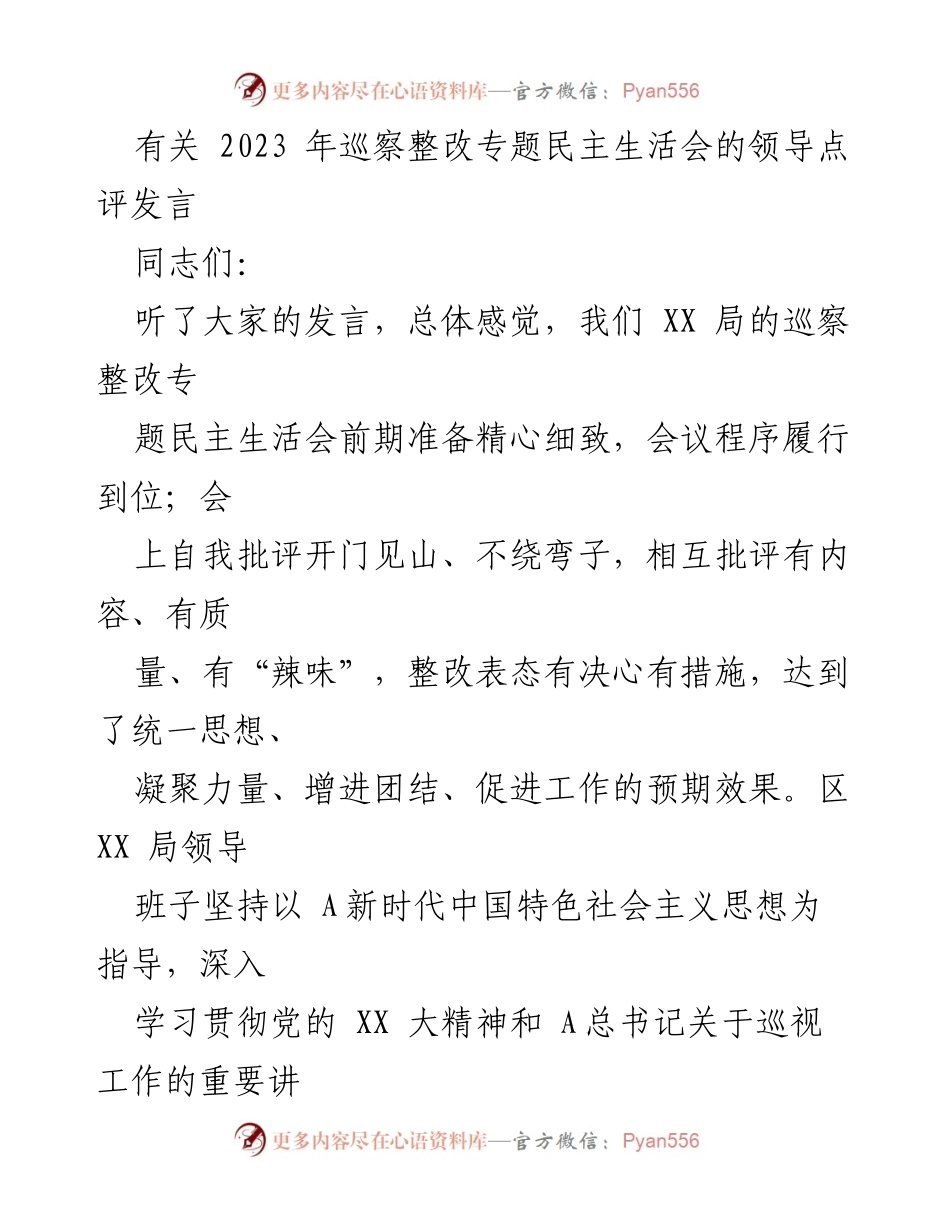 [发言] 巡察整改专题民主生活会 - 巡察整改工作领导点评与改进建议.docx_第1页