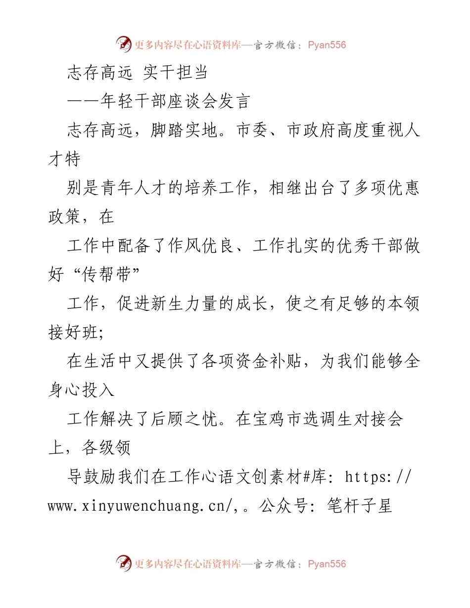 [发言] 年轻干部座谈会 - 志存高远，脚踏实地：年轻干部的成长与担当.docx_第1页