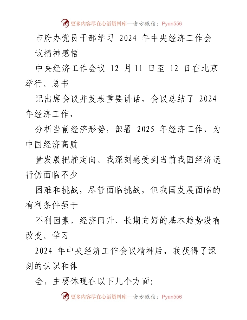 [发言] 市府办党员干部学习会议 - 深刻领会2024年中央经济工作会议精神.docx_第1页