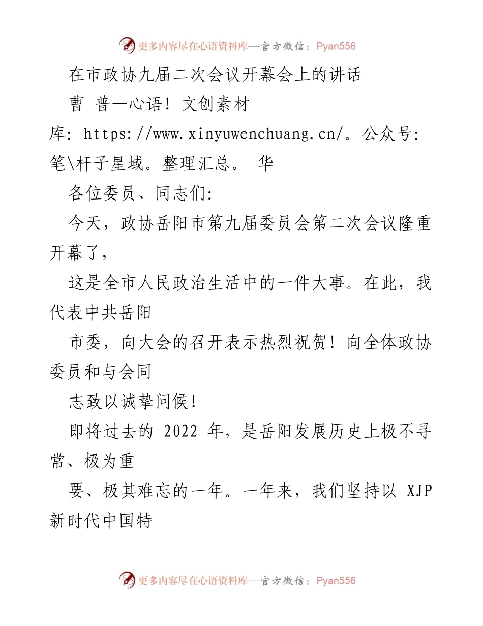 [发言] 市政协九届二次会议 - 岳阳发展成就与未来展望讲话.docx_第1页