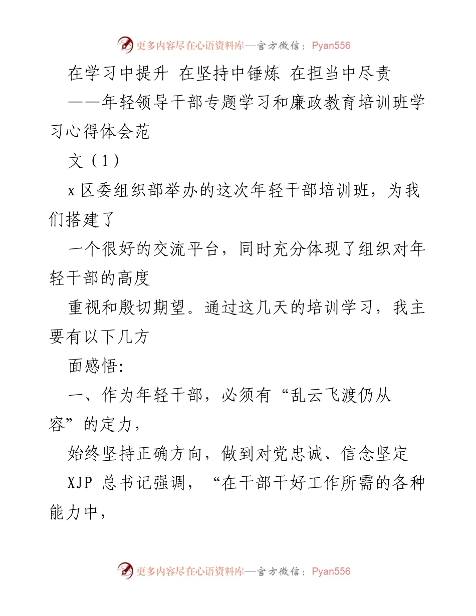 [发言] 年轻干部培训班 - 提升定力与情怀：年轻干部的学习心得体会.docx_第1页