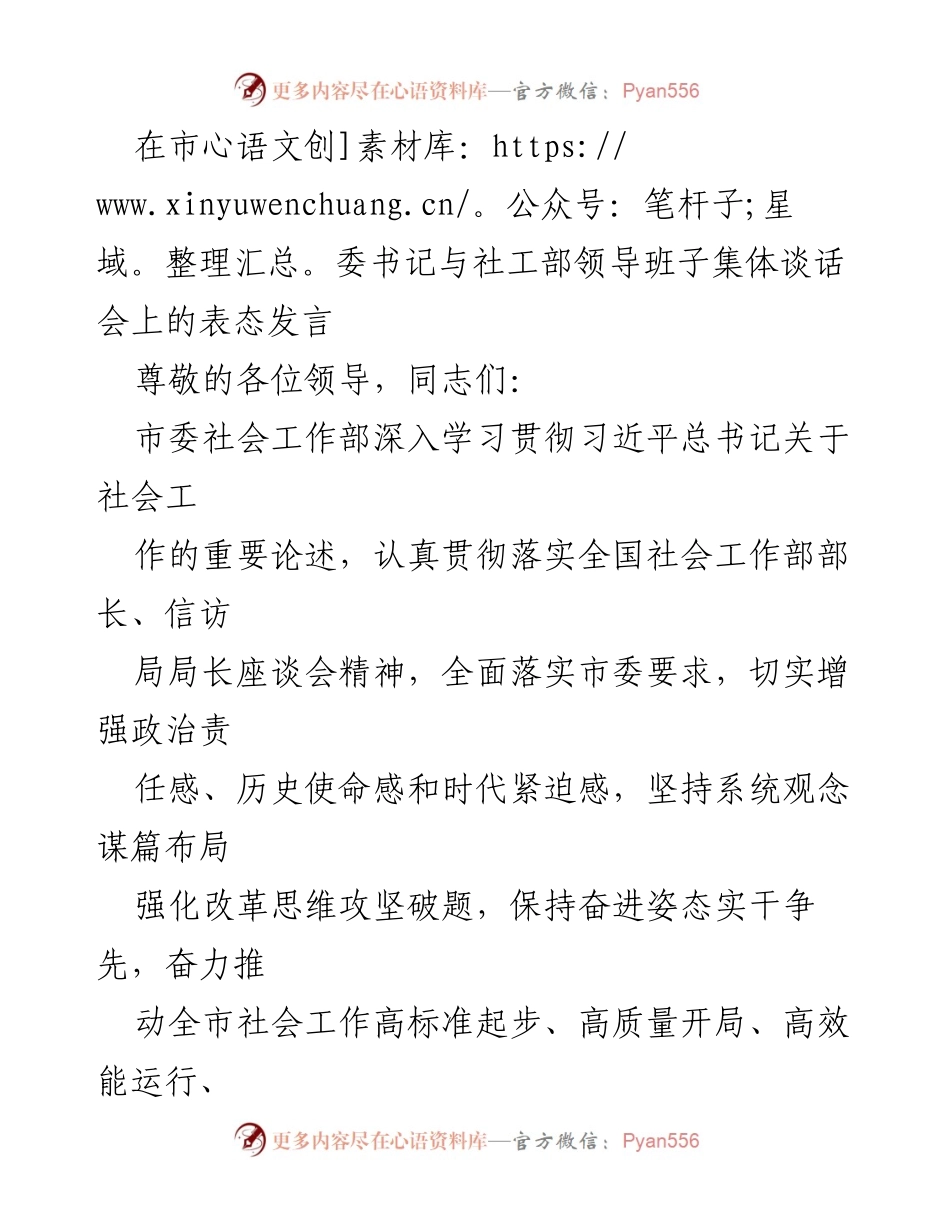 [发言] 市委书记与社工部领导班子集体谈话会 - 加强政治建设，推动社会工作高质量发展.docx_第1页