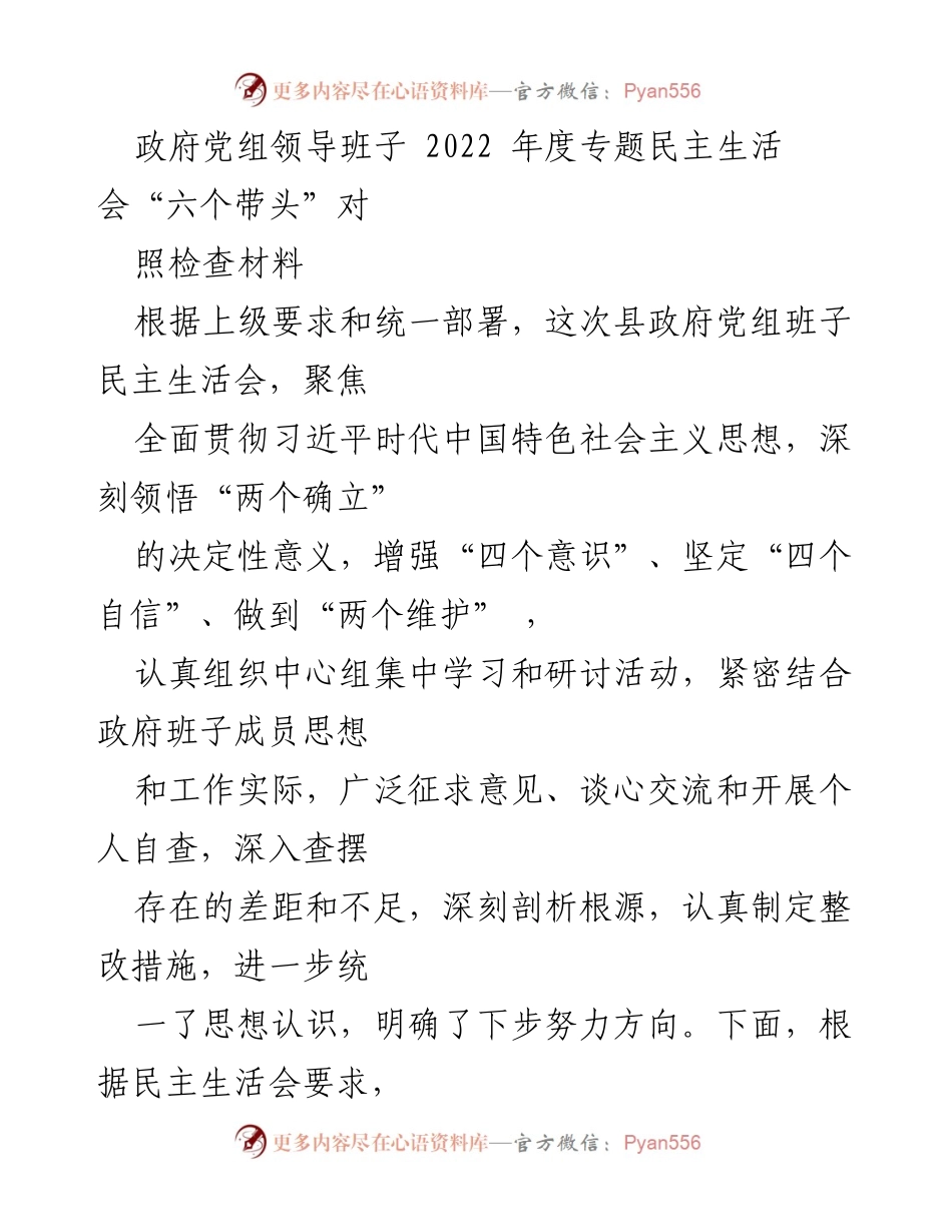 [发言] 政府党组民主生活会 - 2022年度民主生活会对照检查材料总结.docx_第1页