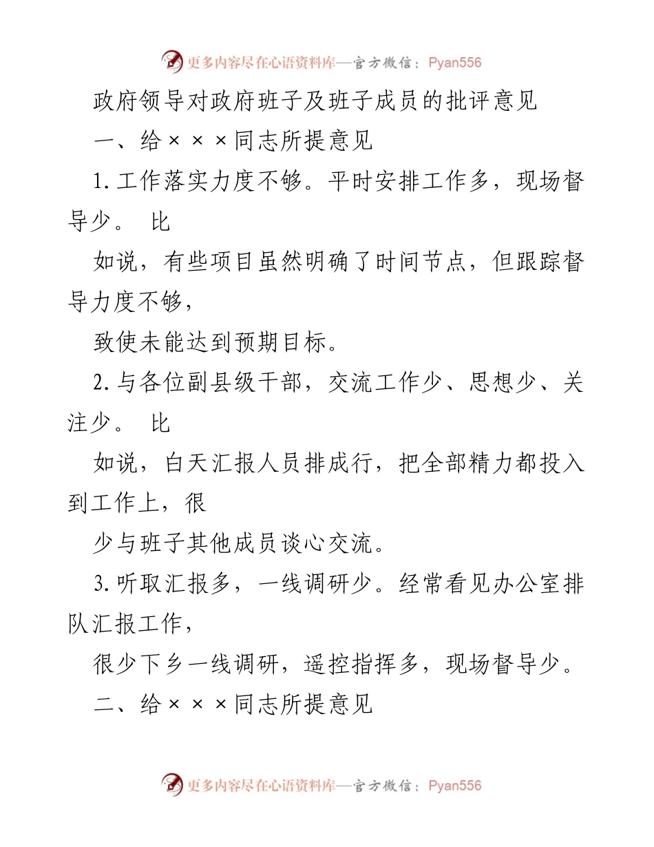 [发言] 政府班子会议 - 政府班子成员批评意见汇总.docx_第1页