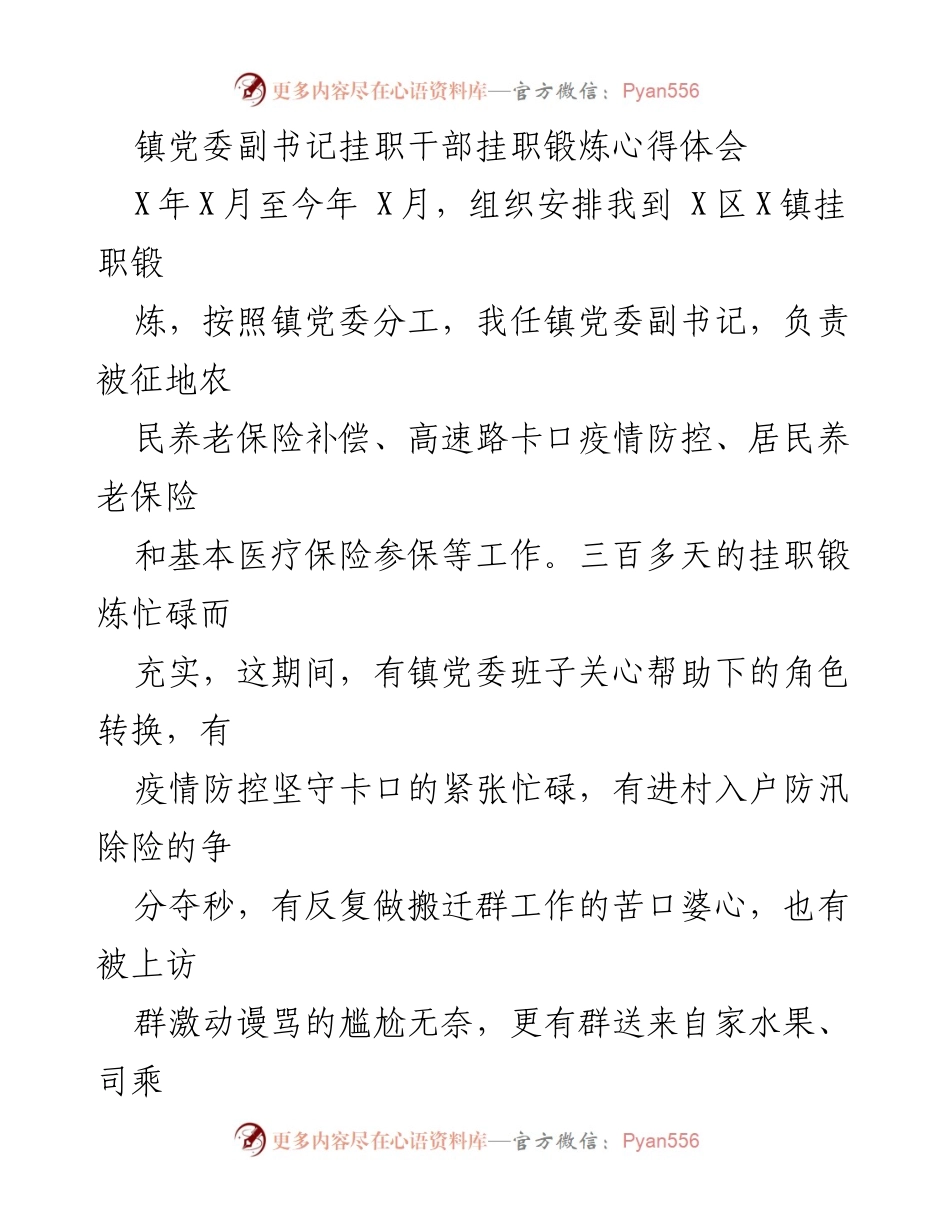 [发言] 挂职锻炼总结 - 镇党委副书记挂职锻炼的心得体会与反思.docx_第1页
