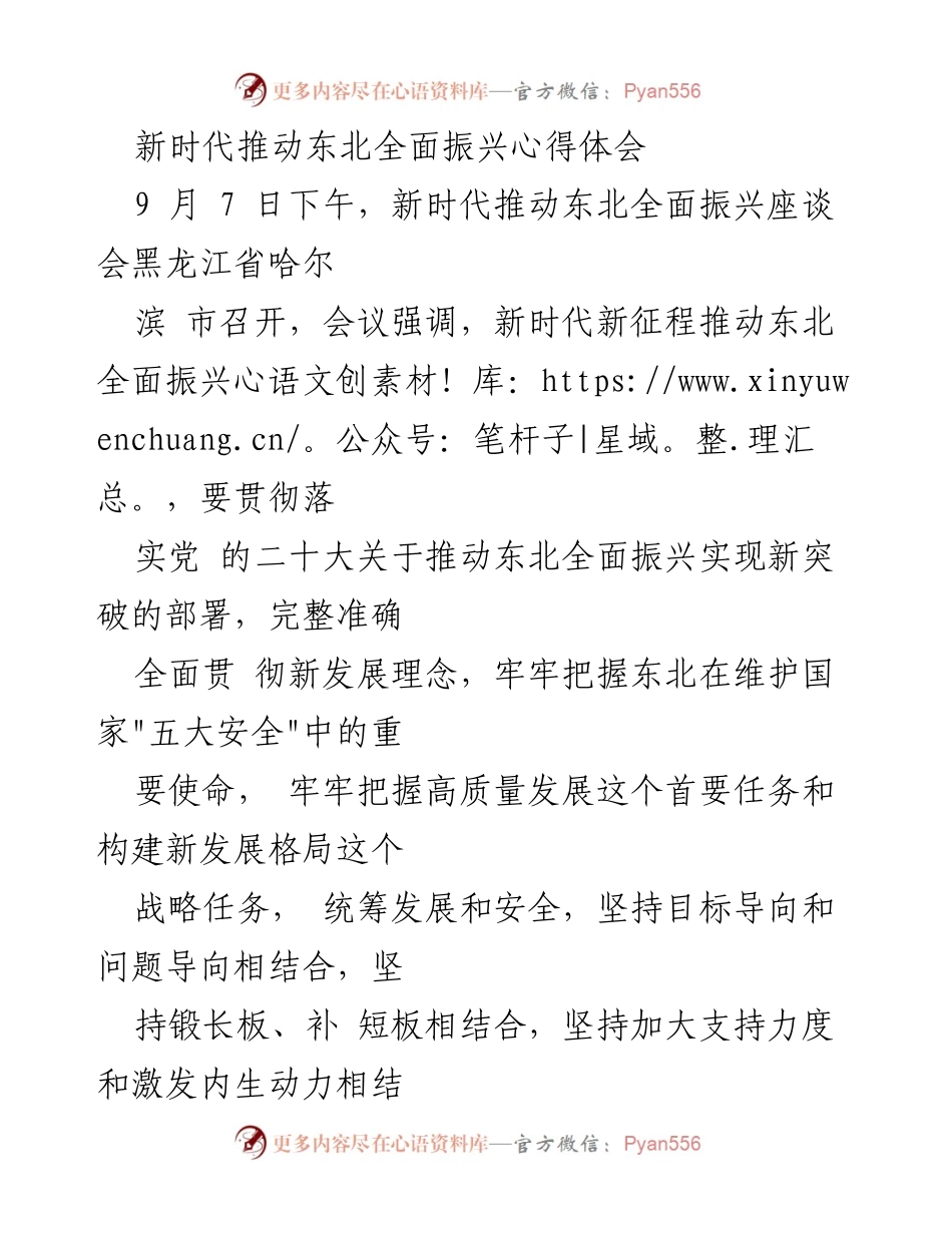 [发言] 座谈会 - 推动东北全面振兴的战略与实践.docx_第1页