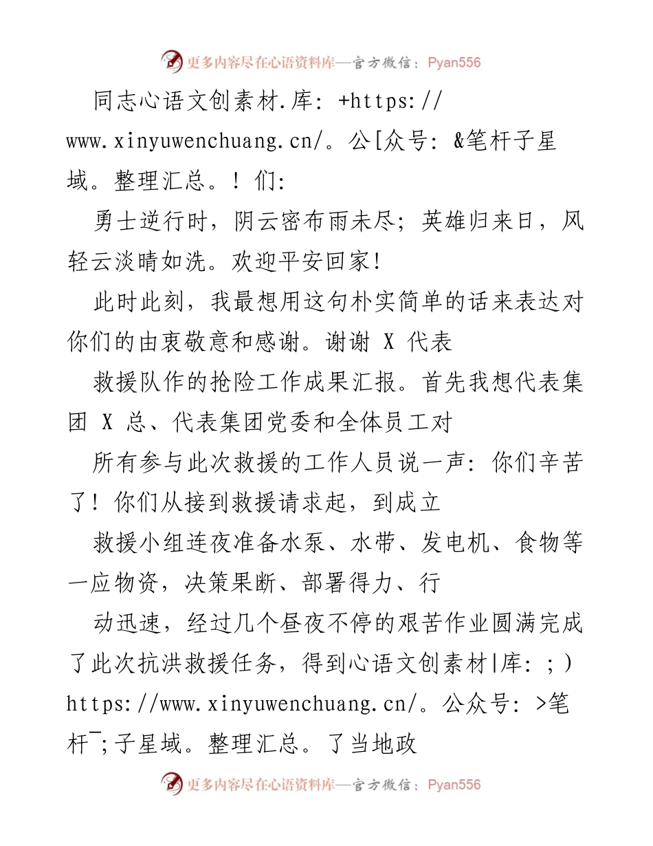 [发言] 救援工作总结会 - 致敬英雄，弘扬救援精神.docx_第1页