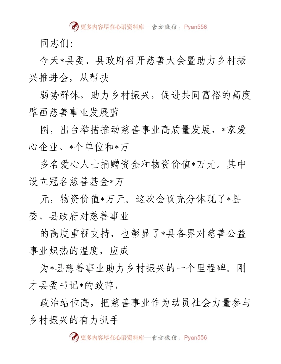 [发言] 慈善大会 - 助力乡村振兴的慈善事业发展蓝图.docx_第1页