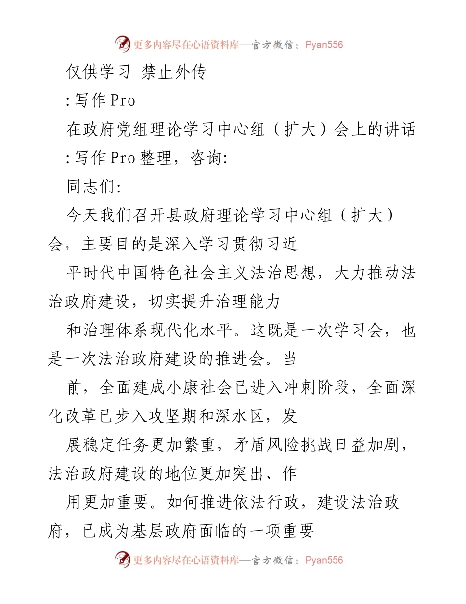 [发言] 政府党组理论学习中心组（扩大）会 - 推进法治政府建设的重要性与实践路径.docx_第1页