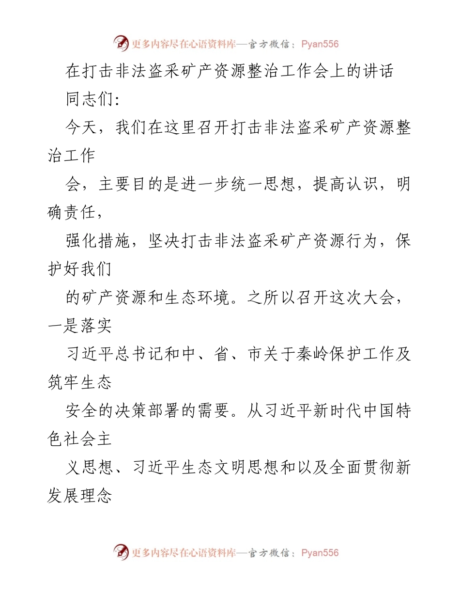 [发言] 打击非法盗采矿产资源整治工作会 - 加强矿产资源保护，坚决打击非法盗采行为.docx_第1页