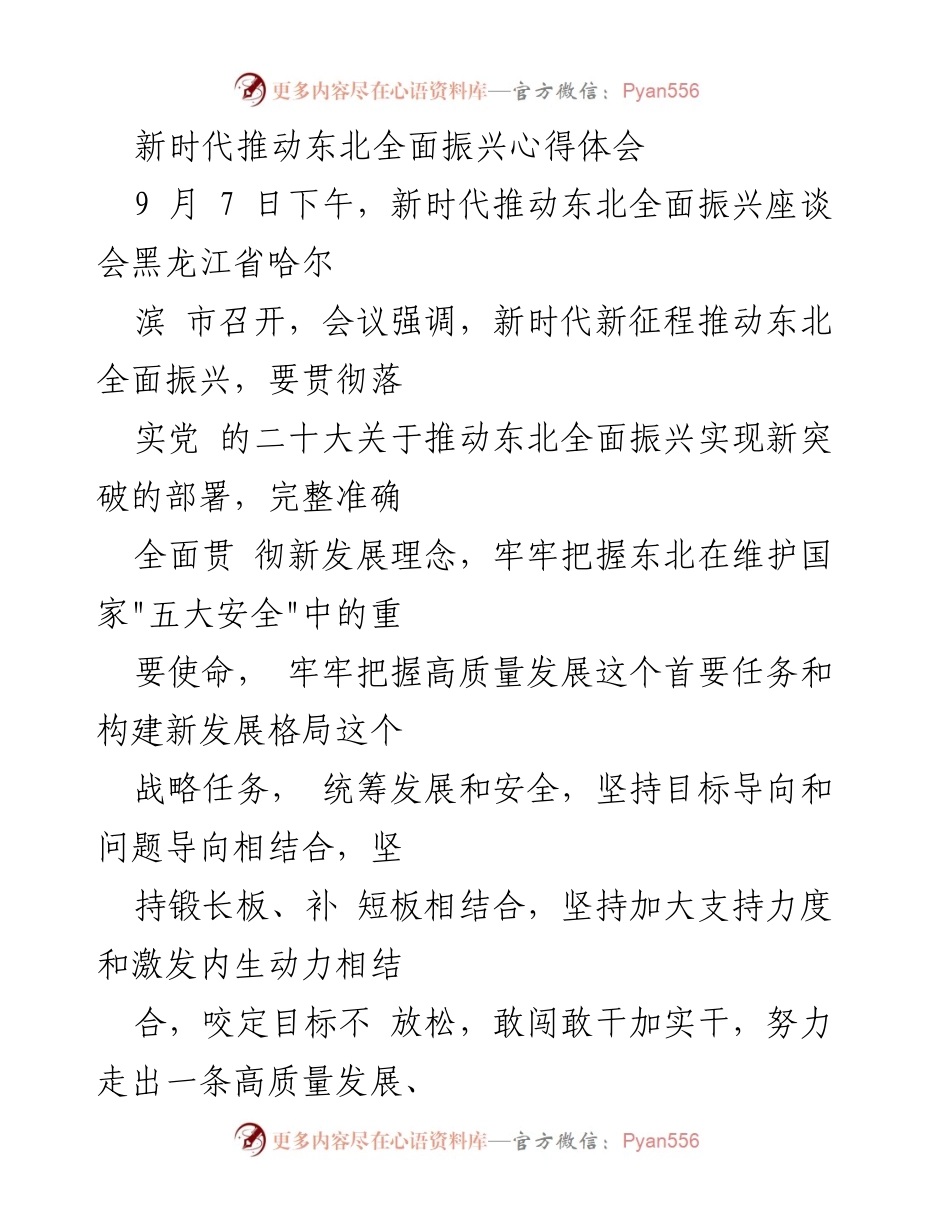 [发言] 座谈会 - 推动东北全面振兴的新路径探讨.docx_第1页