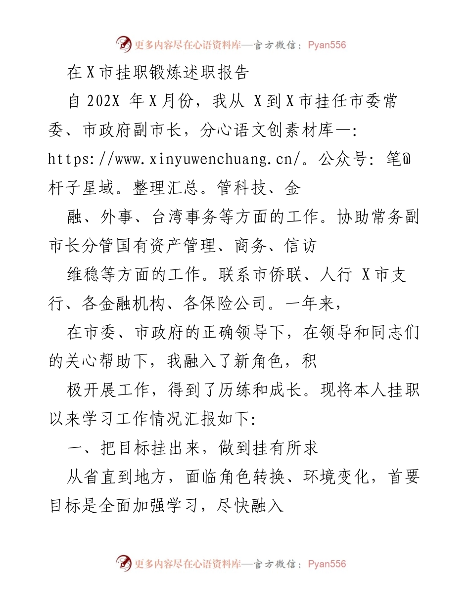 [发言] 挂职锻炼总结 - X市挂职锻炼述职报告总结与体会.docx_第1页