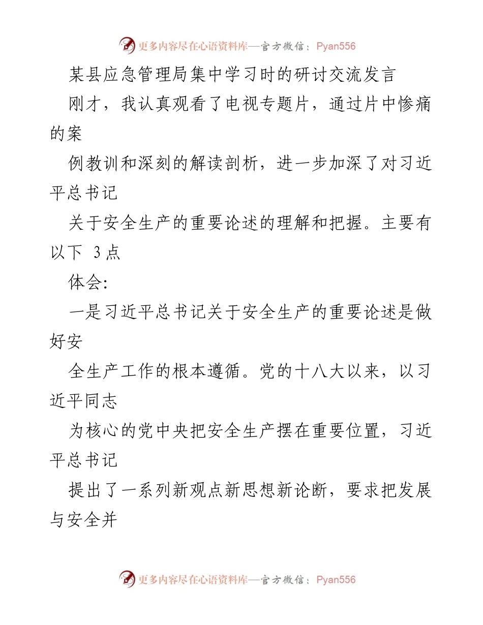 [发言] 应急管理局集中学习 - 深入学习习近平总书记安全生产重要论述的体会与落实措施.docx_第1页