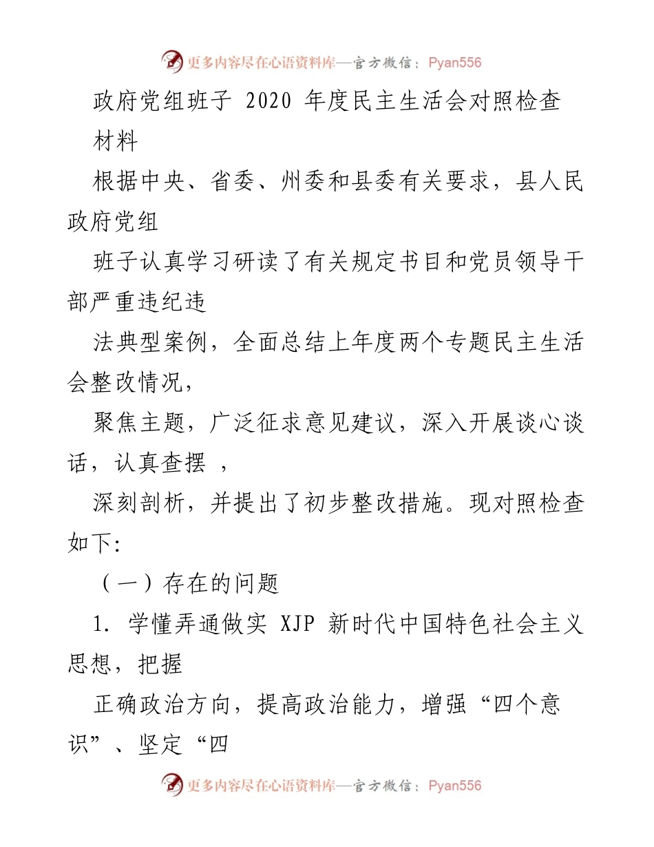 [发言] 政府党组年度民主生活会 - 2020年度民主生活会对照检查报告.docx_第1页
