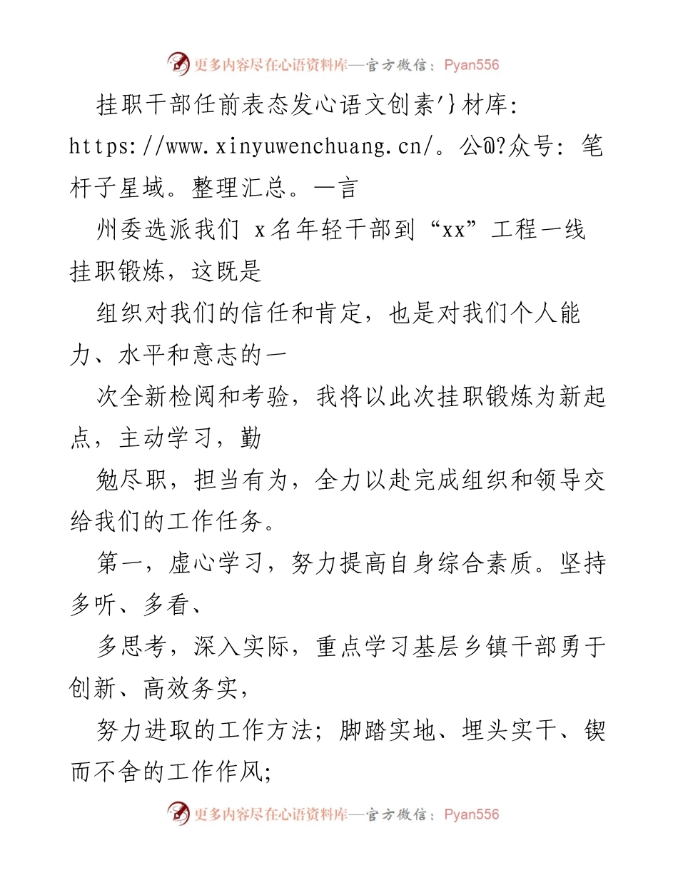 [发言] 挂职干部任前 - _以挂职锻炼为新起点，奋力担当使命_.docx_第1页