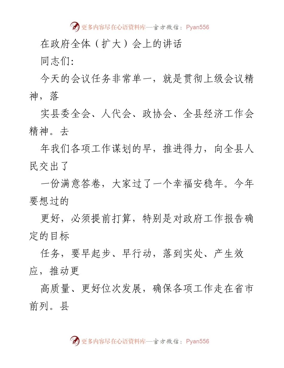 [发言] 政府全体（扩大）会 - 确保高质量发展，落实上级会议精神.docx_第1页