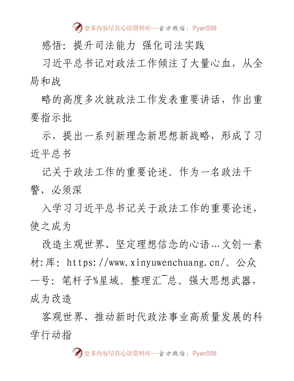 [发言] 政法工作会议 - 提升司法能力，强化实践，忠诚履职.docx_第1页