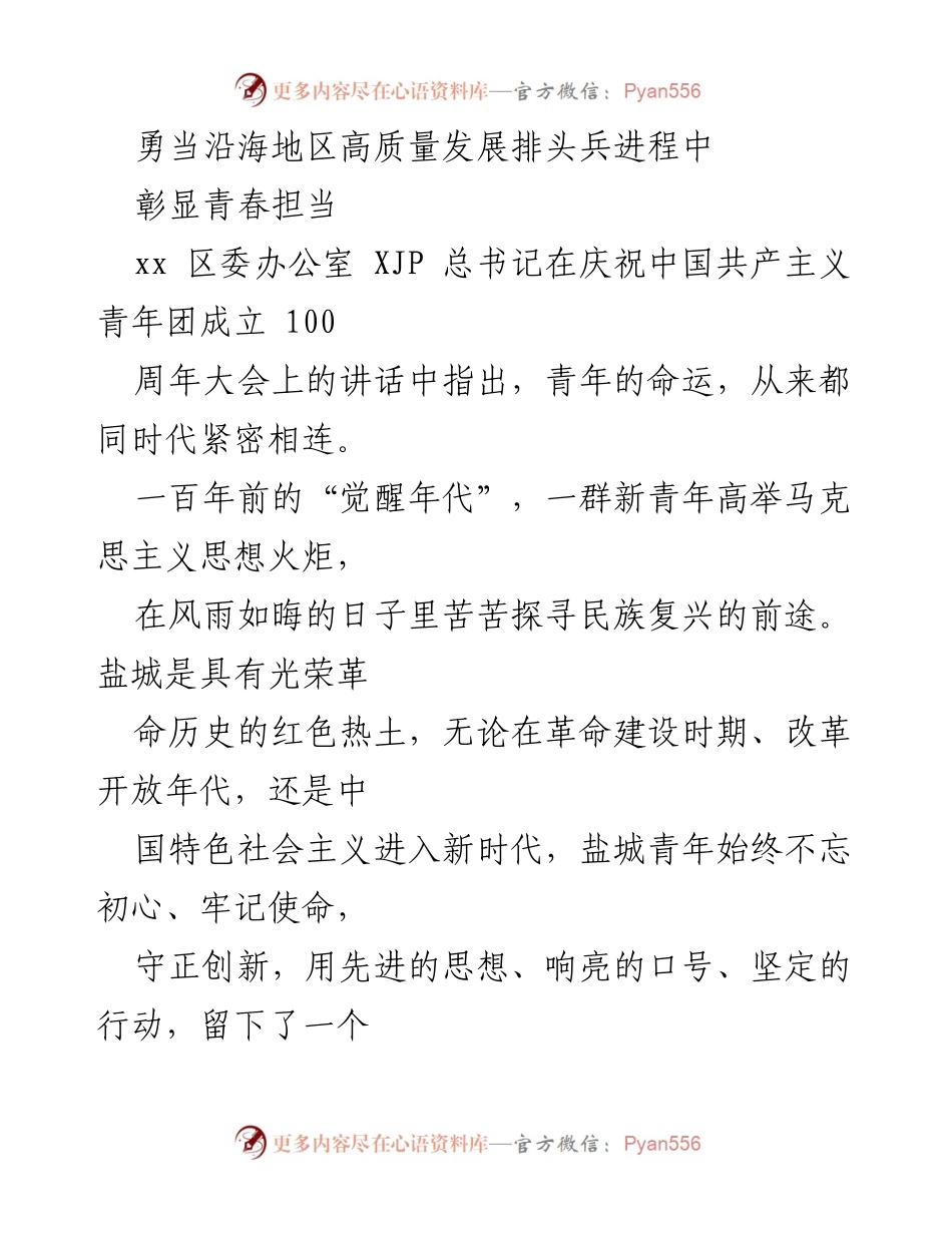 [发言] 庆祝大会 - 青春无悔：盐城青年在高质量发展中的担当与奋斗.docx_第1页