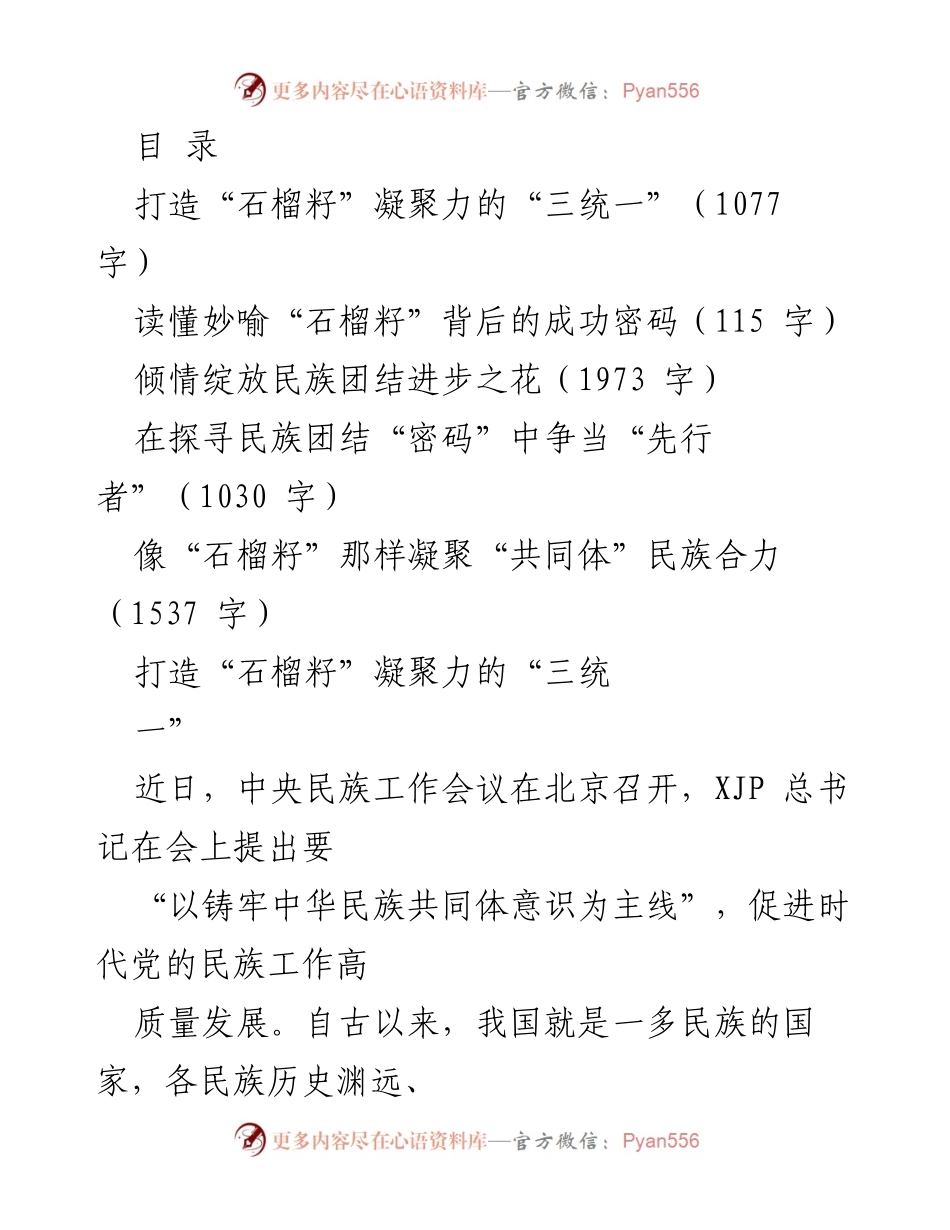 [发言] 打造“石榴籽”凝聚力，促进民族团结与共同体意识.docx_第1页