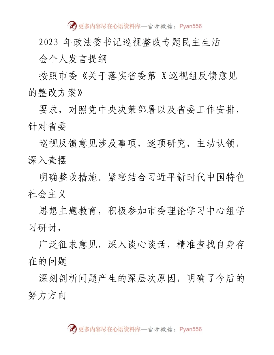 [发言] 政法委书记巡视整改专题民主生活会 - 深入查摆问题，明确整改措施的个人发言提纲.docx_第1页