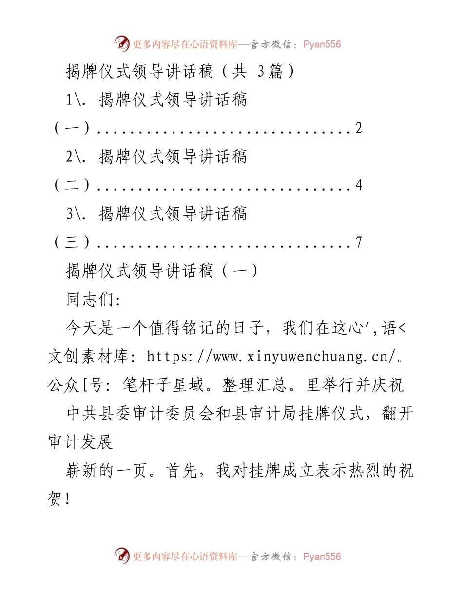 [发言] 揭牌仪式 - 新时代审计委员会揭牌仪式领导讲话.docx_第1页