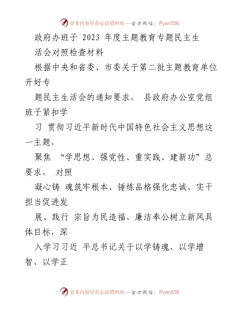 [发言] 政府办班子年度主题教育专题民主生活会 - 2023年度主题教育民主生活会对照检查材料分析.docx_第1页