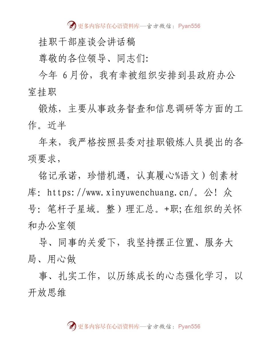 [发言] 挂职干部座谈会 - 挂职锻炼体会与政务督查创新经验分享.docx_第1页