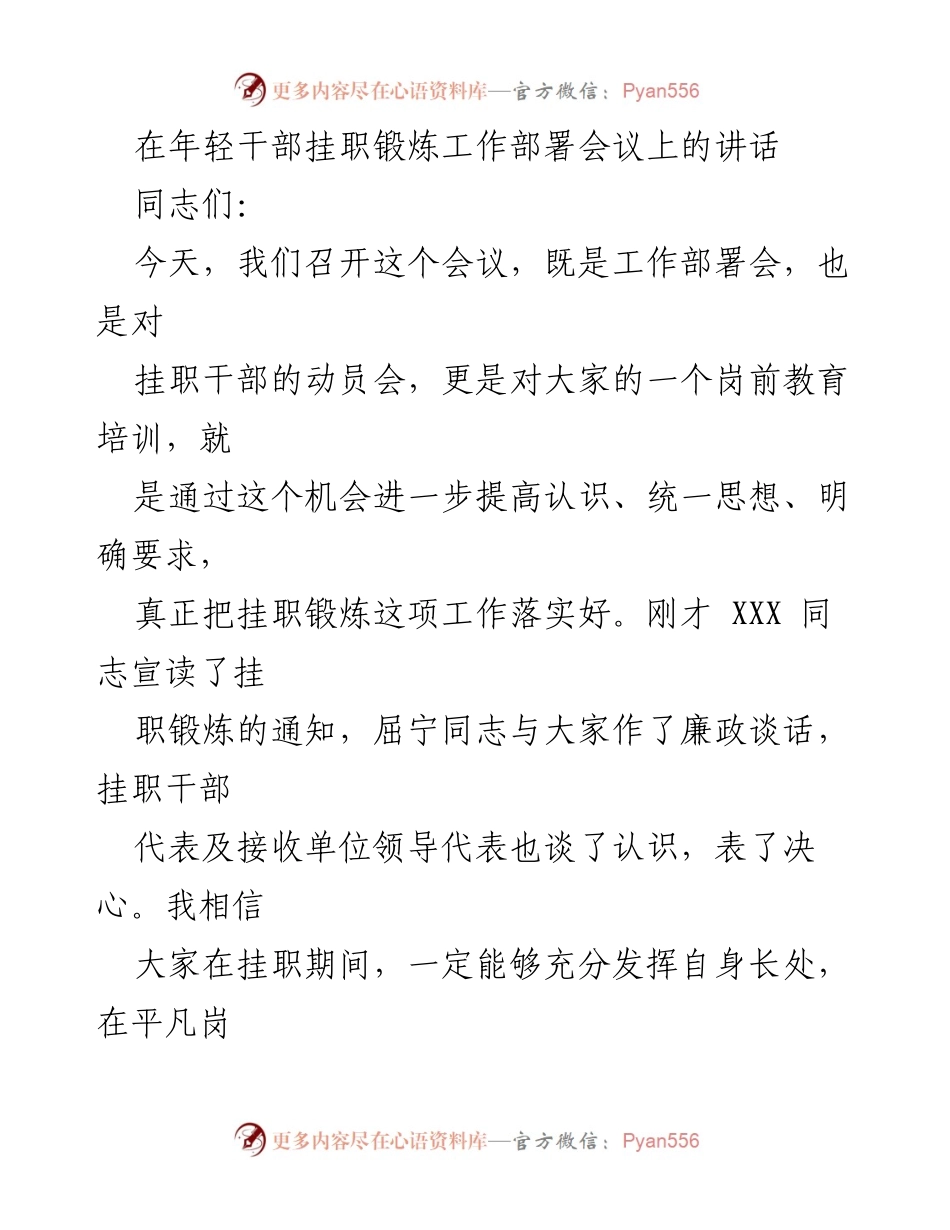 [发言] 年轻干部挂职锻炼工作部署会议 - 强化年轻干部挂职锻炼的重要性与实践意义_1.docx_第1页