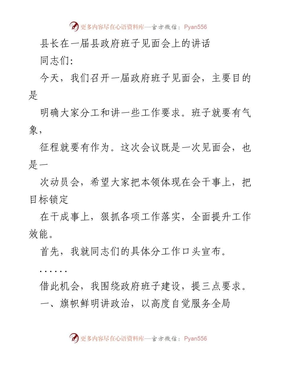 [发言] 政府班子见面会 - 强调政治意识与工作落实的动员讲话.docx_第1页