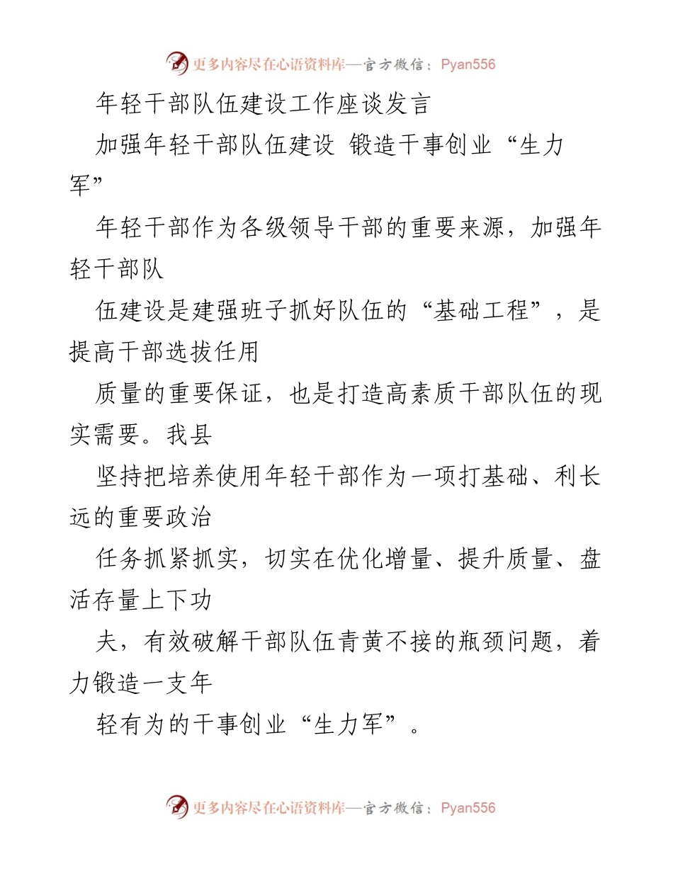 [发言] 年轻干部队伍建设工作座谈 - 加强年轻干部队伍建设，锻造干事创业的生力军.docx_第1页