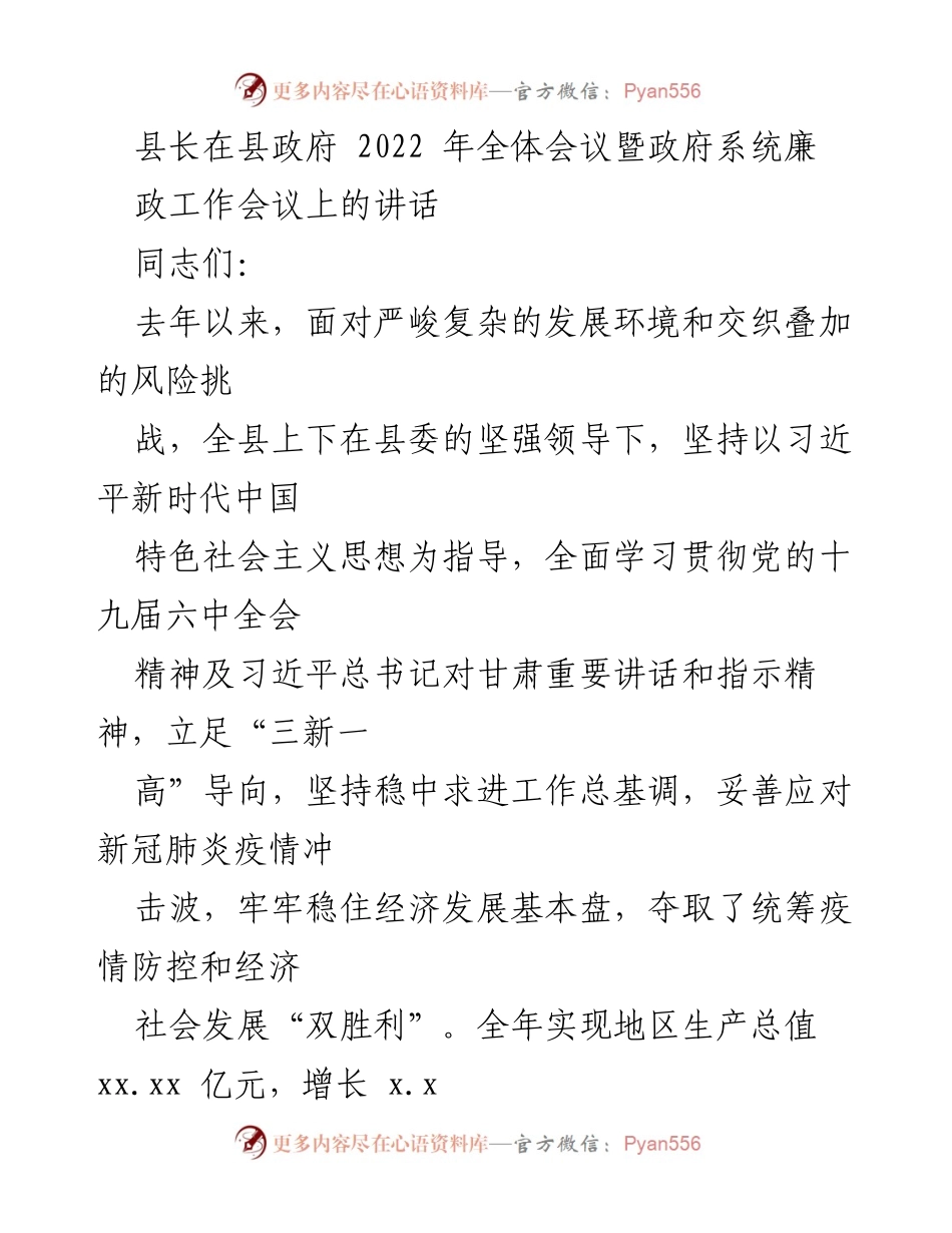 [发言] 政府会议 - 县长在2022年全体会议上的工作总结与展望.docx_第1页