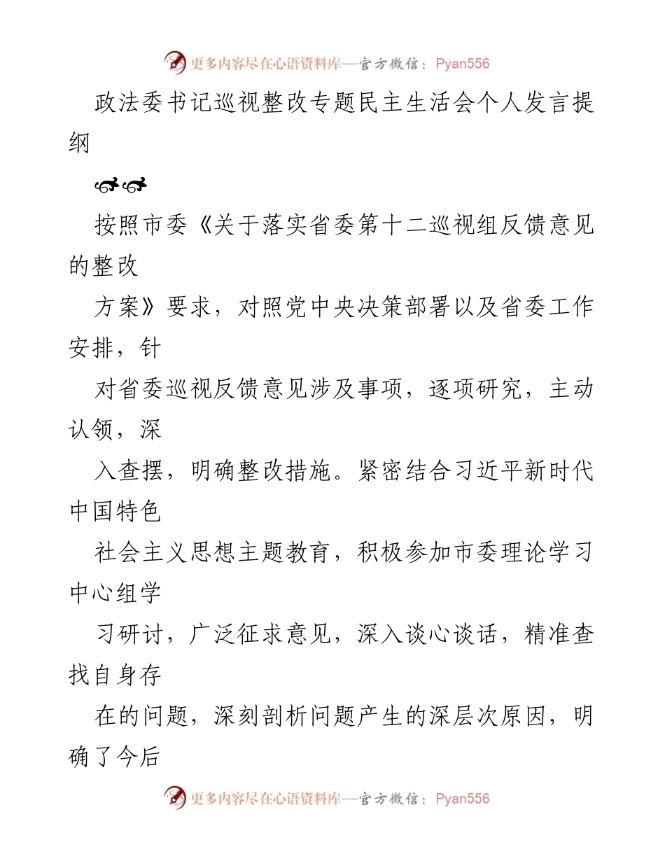 [发言] 政法委巡视整改专题民主生活会 - 深入查摆问题，明确整改措施的发言提纲.docx_第1页