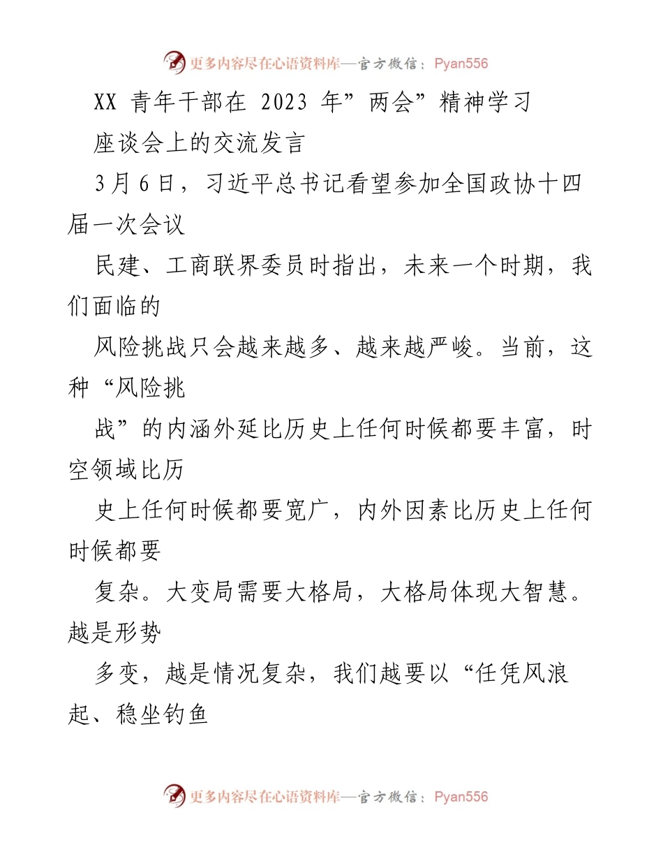 [发言] 座谈会 - “风险挑战与战略把握：青年干部在‘两会’精神学习中的思考”.docx_第1页