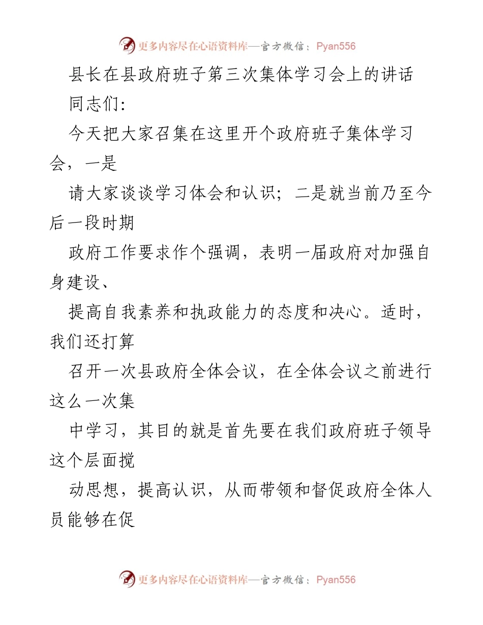 [发言] 政府班子集体学习会 - 加强政府自身建设，提高执政能力的讲话.docx_第1页