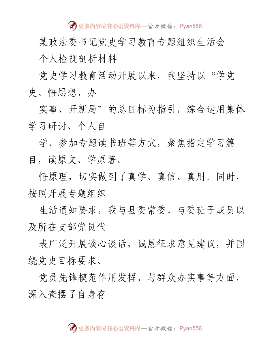 [发言] 政法委党史学习教育专题组织生活会 - 个人检视剖析材料汇报.docx_第1页