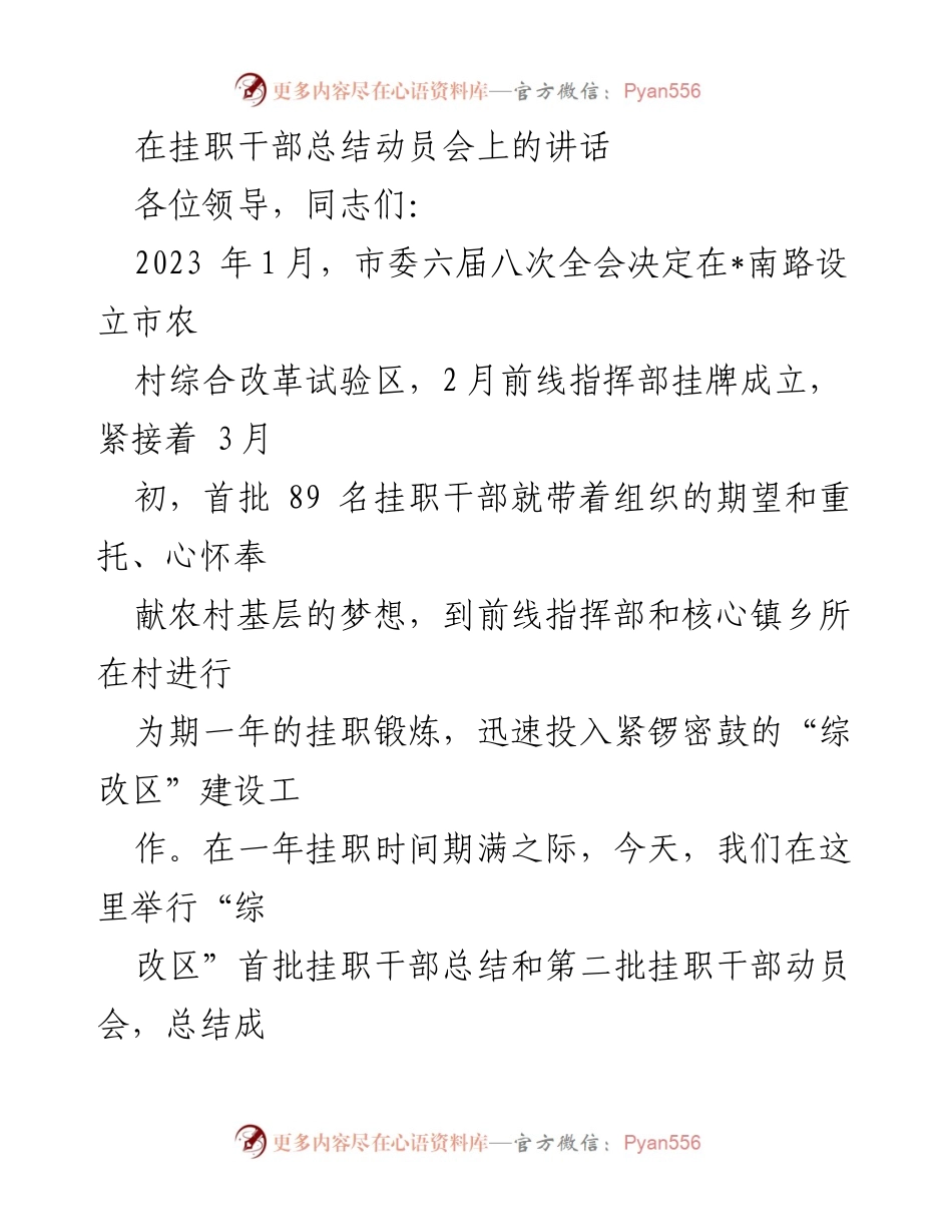 [发言] 挂职干部总结动员会 - 总结与展望：首批挂职干部的贡献与新一批动员.docx_第1页