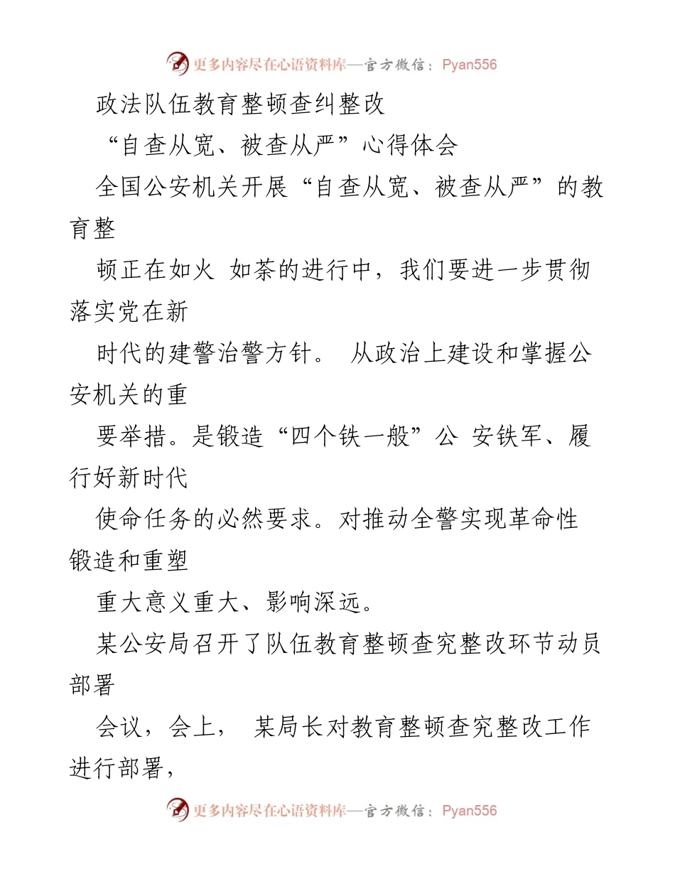 [发言] 政法队伍教育整顿动员会议 - 深入贯彻“自查从宽、被查从严”政策，锻造公安铁军.docx_第1页