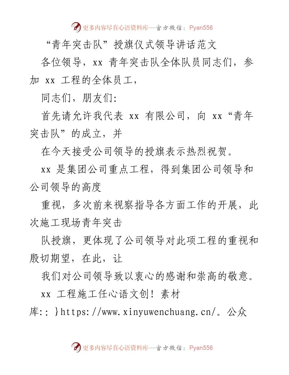 [发言] 授旗仪式 - 青年突击队授旗仪式领导讲话.docx_第1页