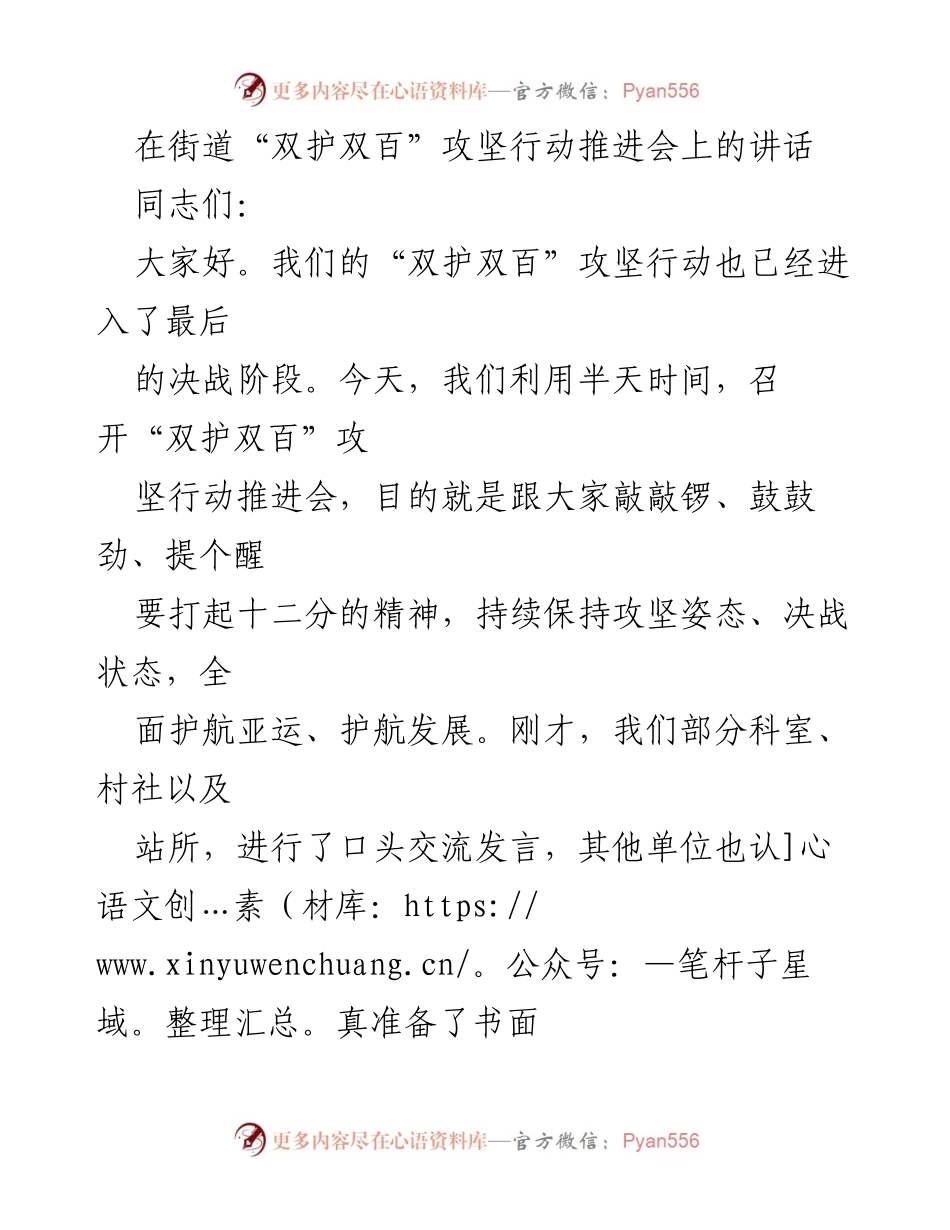 [发言] 政府会议 - “双护双百”攻坚行动推进会讲话总结.docx_第1页