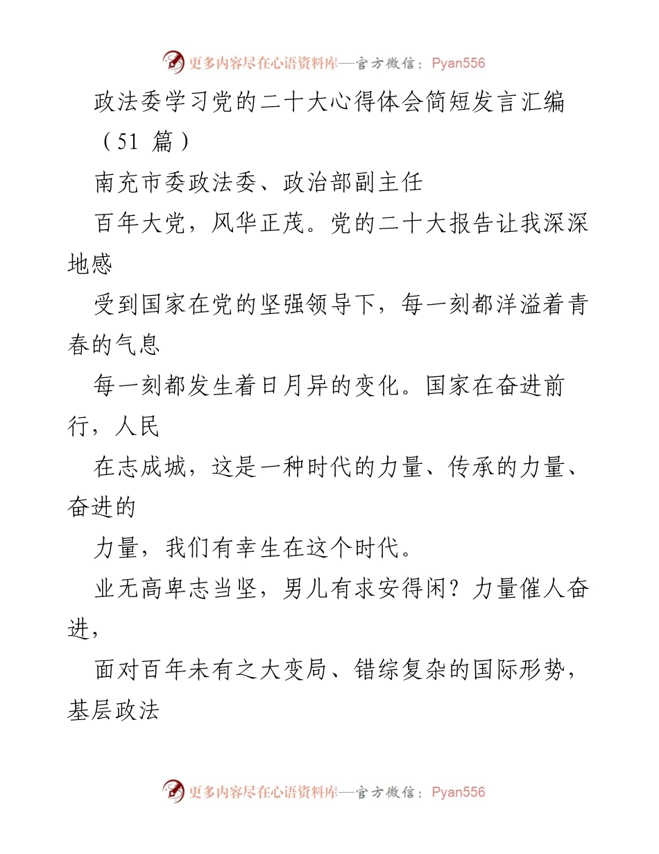 [发言] 政法委学习党的二十大心得体会 - 深刻领悟党的二十大精神，奋力推进基层政法工作.docx_第1页
