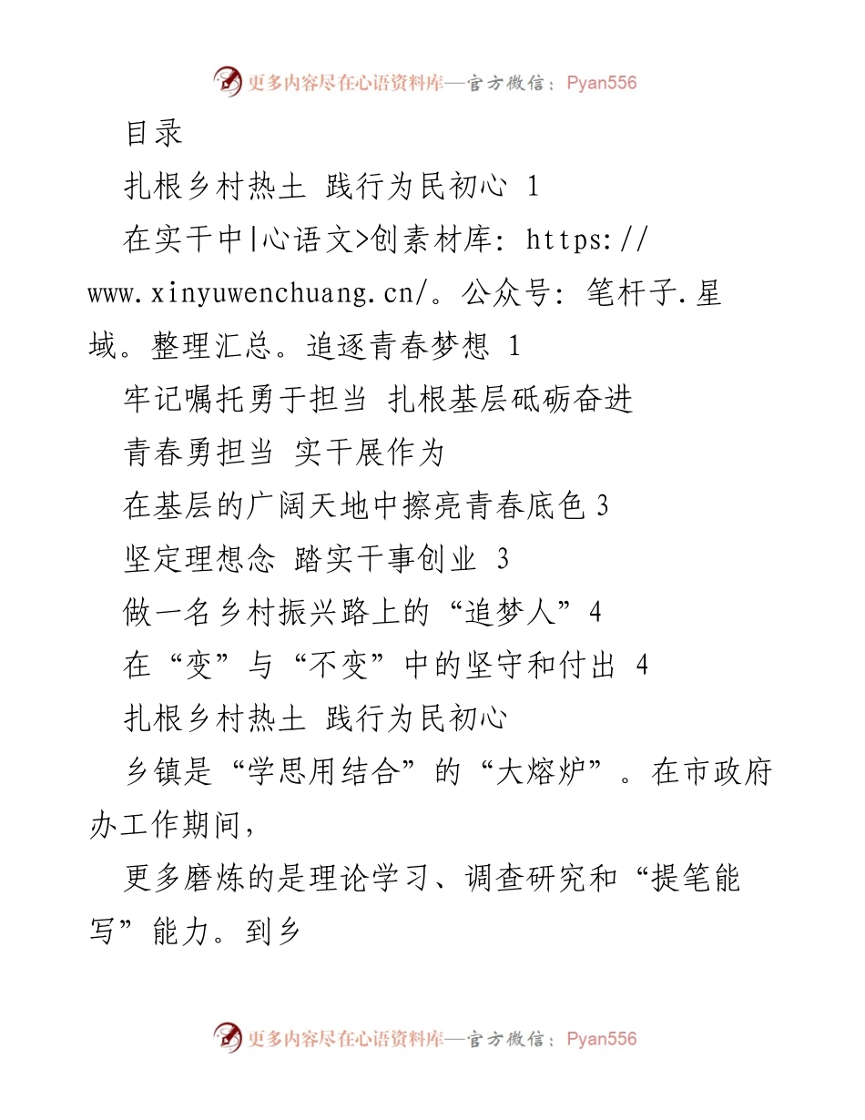 [发言] 扎根乡村，追逐青春梦想，勇担责任。.docx_第1页