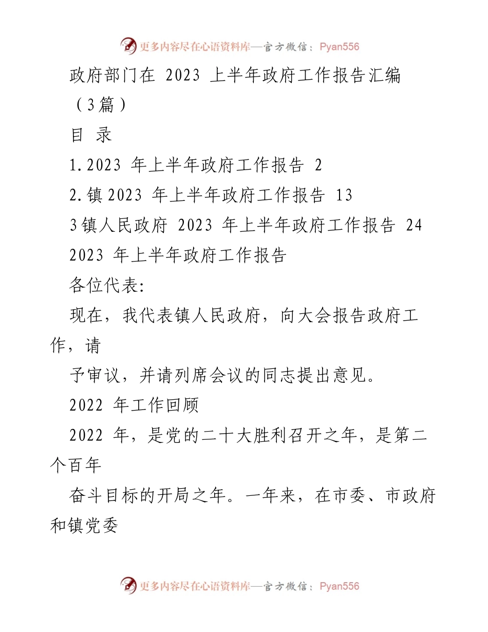 [发言] 政府工作报告会议 - 2023 年上半年政府工作报告总结.docx_第1页